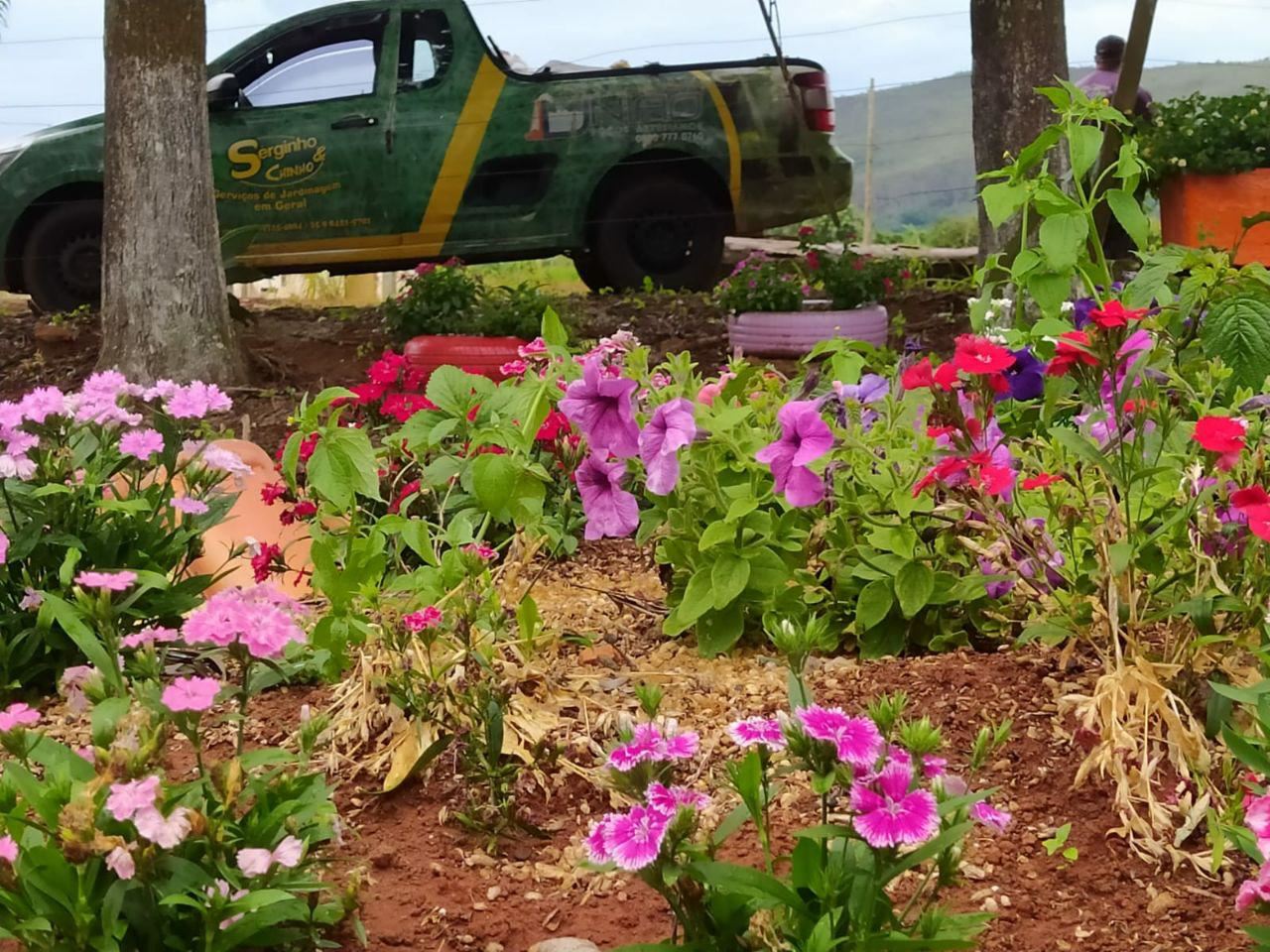 Serginho e Chinho Serviços de Prestação de Jardinagem em Geral